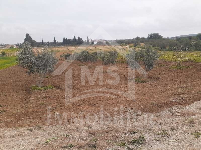 aaa7c6cf-6a12-4c21-a530-84add00aacaf