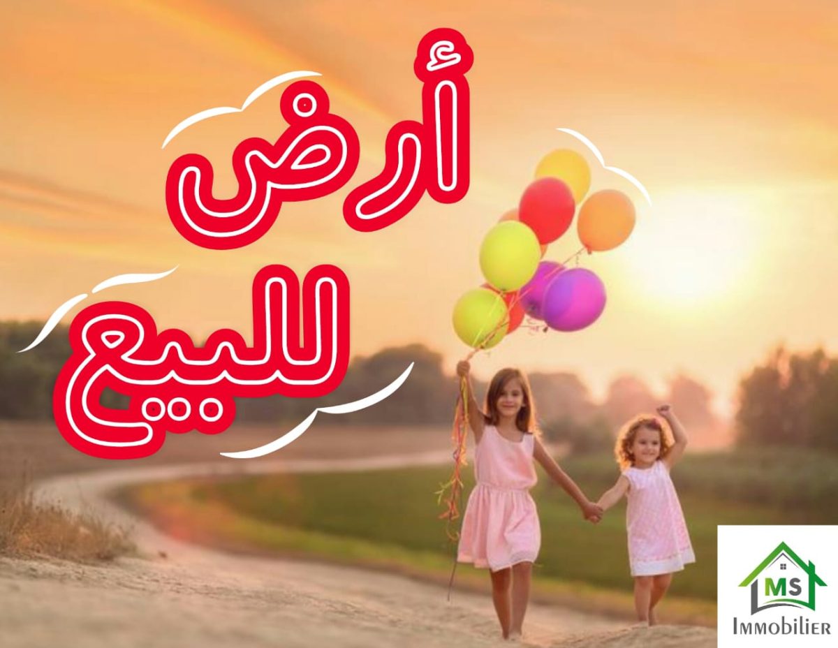 للبيع في قربة: أرض على البحر و على الطريق الرئيسي 51355351