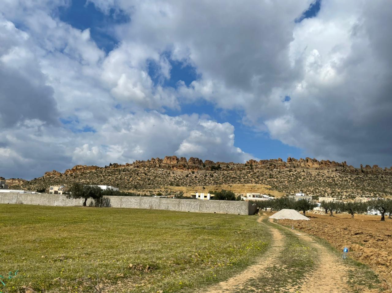 d4f215fd-4441-46ff-9709-e015460e9bb9