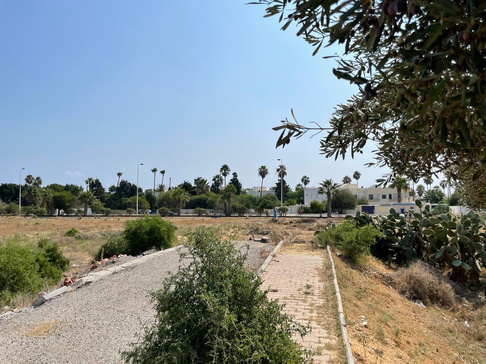 7a279bd3-1d06-47b8-8f3a-ed9633a8df1f