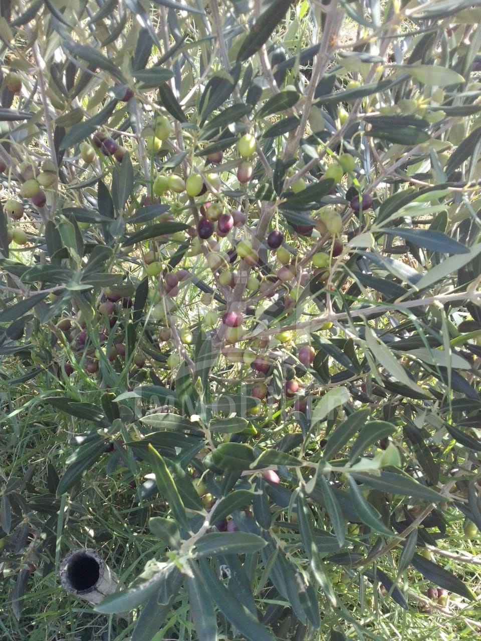 b547e70f-892f-47c1-b35d-2942d73cbdac