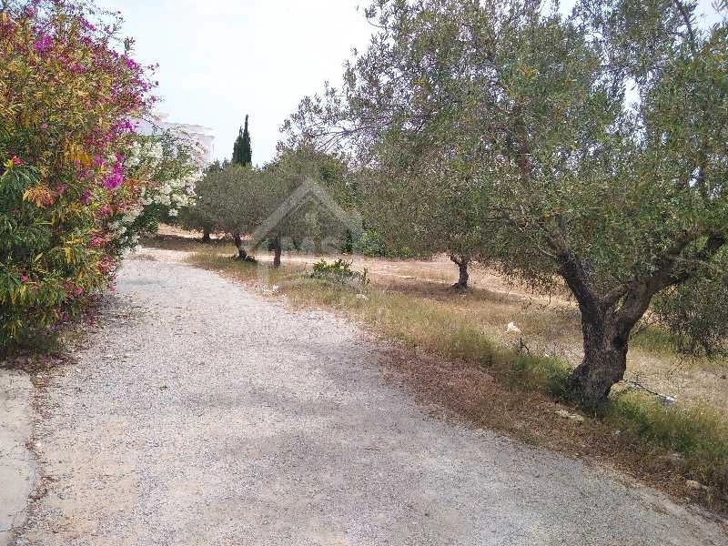 Un terrain viabilisé à vendre à Hammamet Nord 51355351