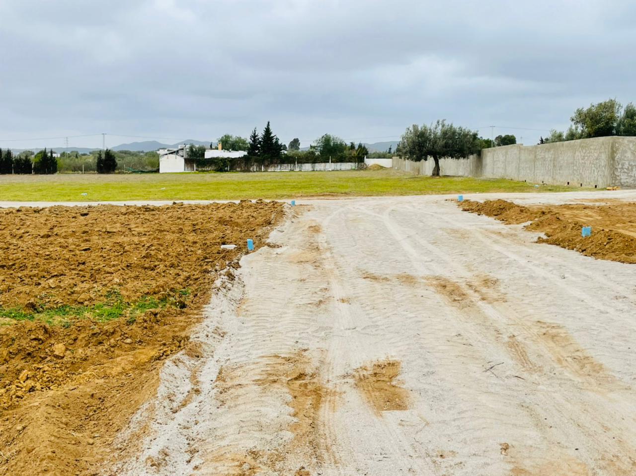 WhatsApp Image 2022-07-24 at 10.31.14