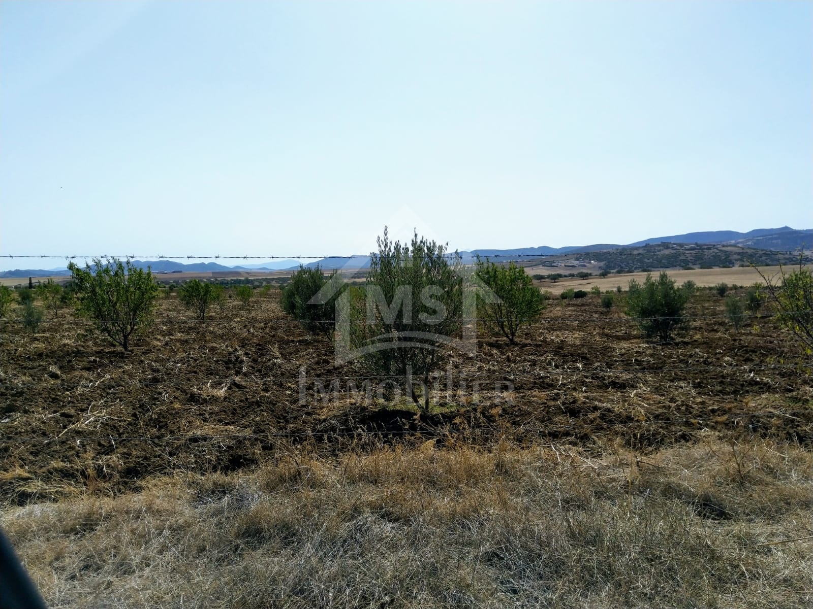 0af0cfc0-f226-4a91-bb51-327f5f8a695b