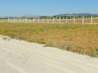 WhatsApp Image 2022-05-18 at 14.56.55 (1)