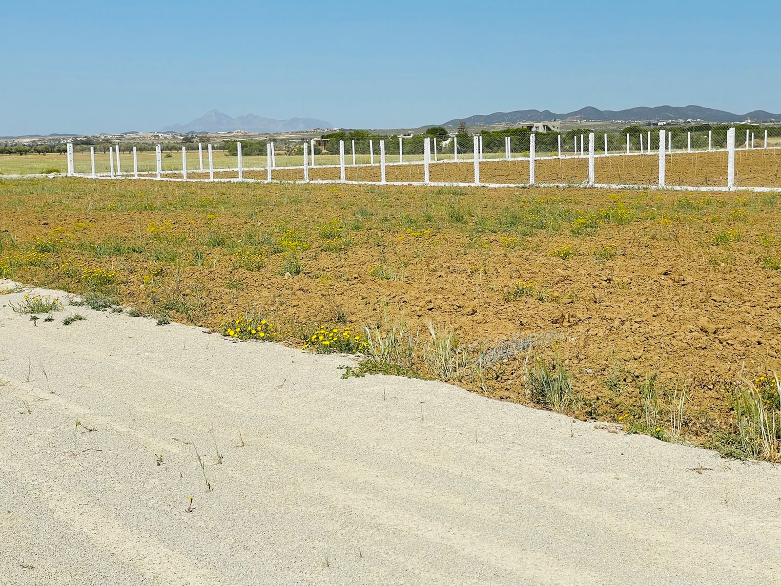 WhatsApp Image 2022-05-18 at 14.56.55 (1)