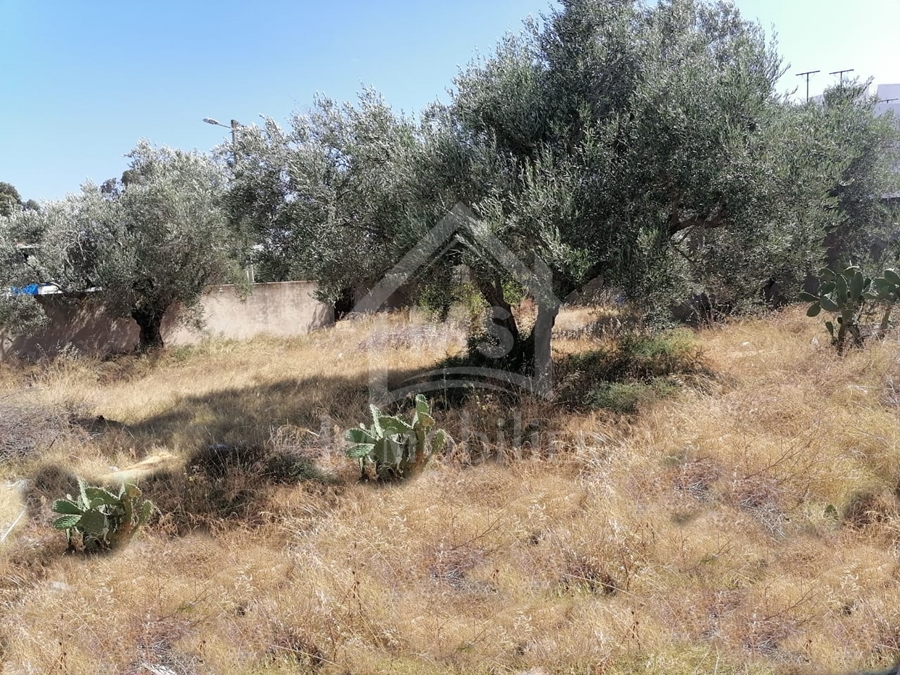 eb7e7b05-ff38-4bac-90ca-698d8b95b536