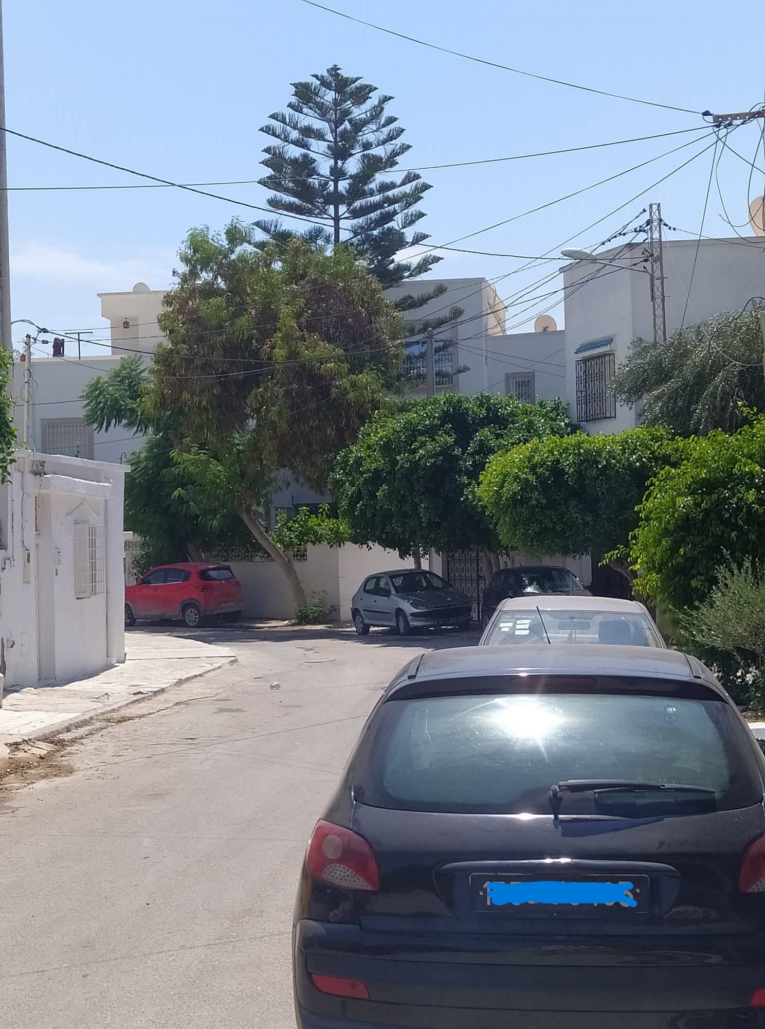 297428111_2983035901997667_5613343386003932229_n