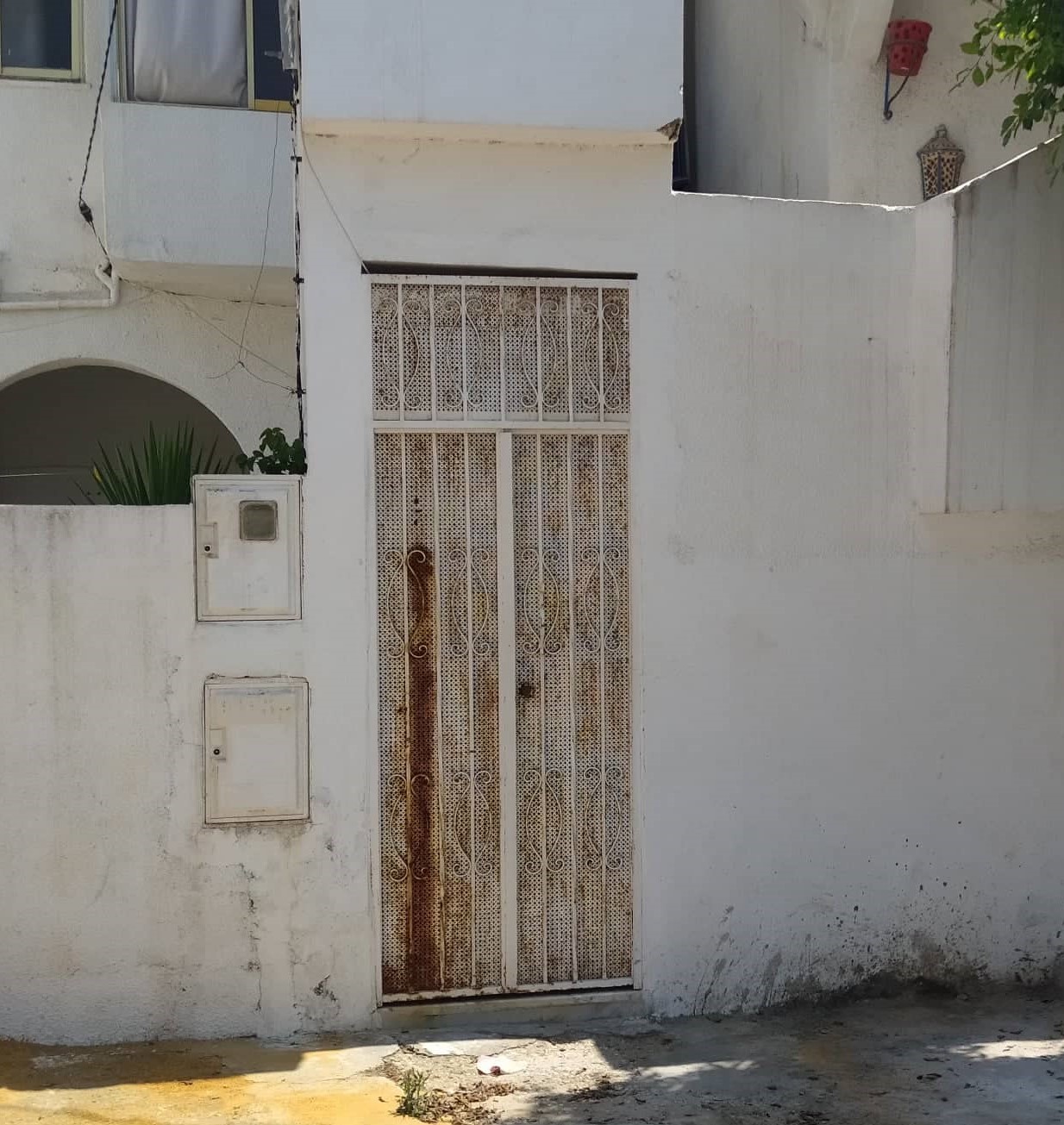 297290824_360838419409615_9045797882968676596_n