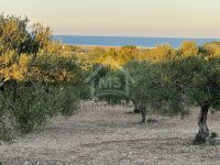 7ae1b6cd-0040-4a83-8ece-98b4457a856f