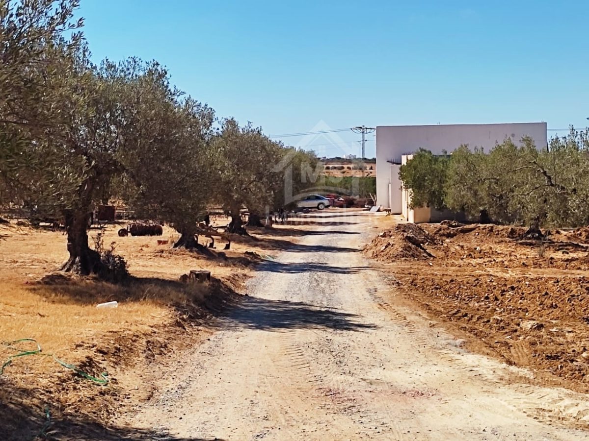 Des lots de terrains à vendre à Hammamet Sud 51355351