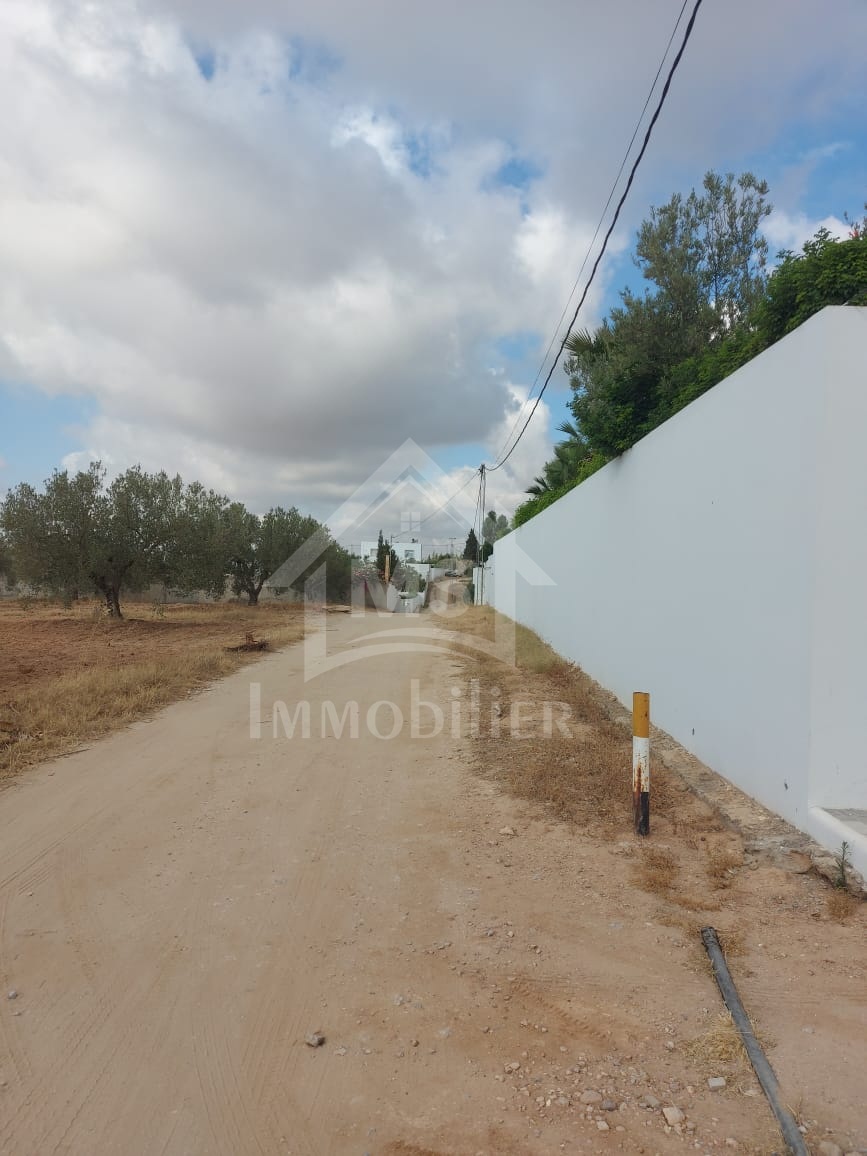 Un terrain clôturé à Hammamet Sud à vendre à 300 dt le m² 51355351