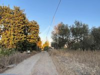 df1d308d-a666-4160-9a5b-16a91a7e872c