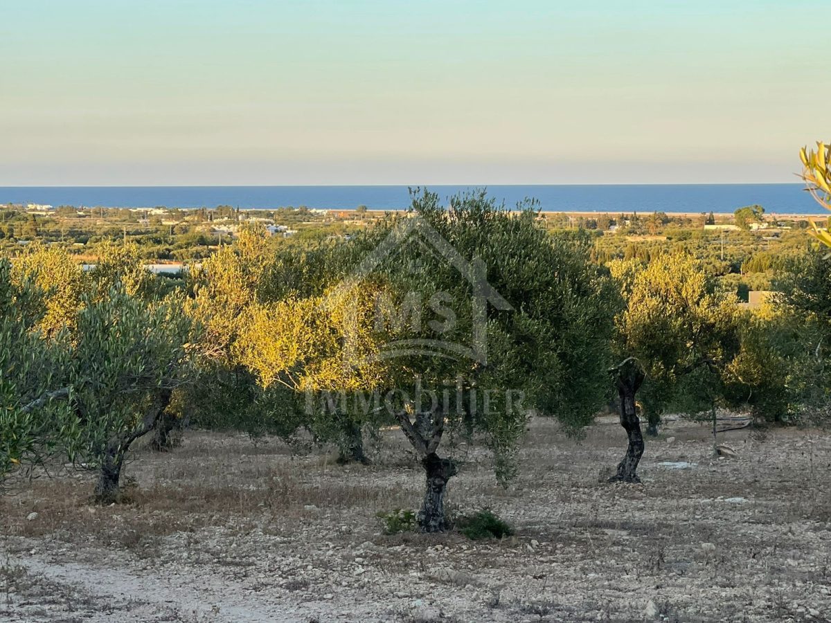 Un terrain vue de mer à vendre à Maamoura 51355351