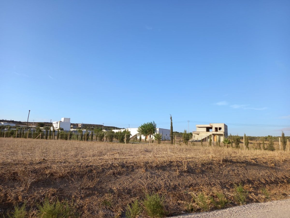 terrain a vendre