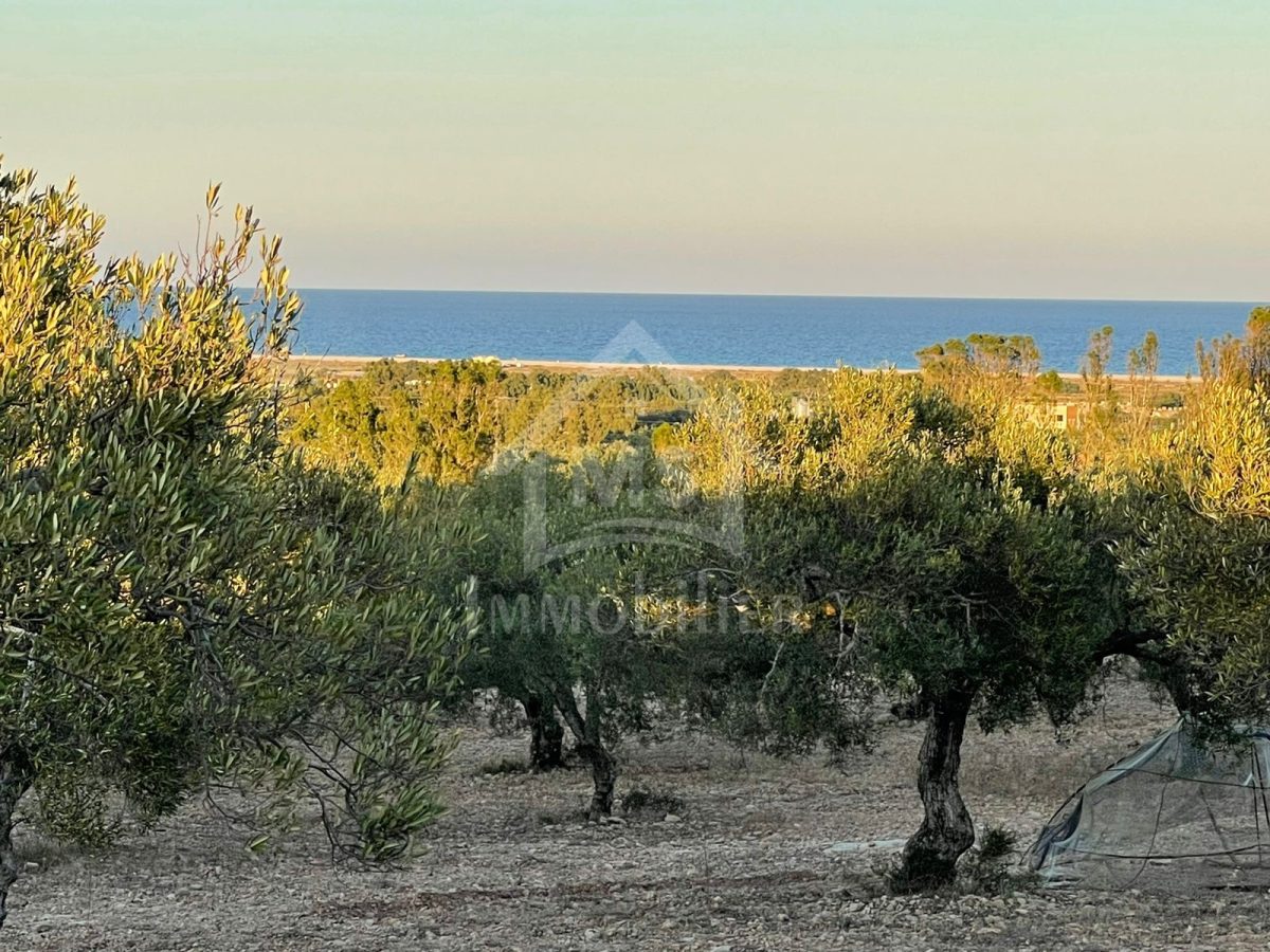 Un terrain vue de mer à vendre à Maamoura 51355351
