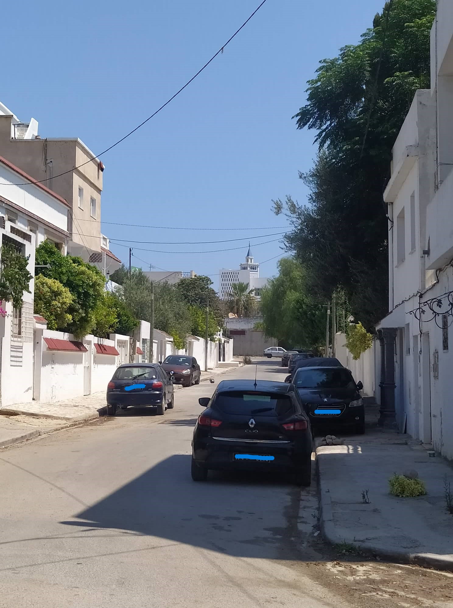 297360069_1496618264122415_3725372352772920590_n