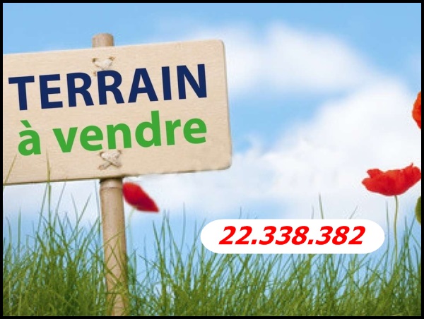 un terrain à Hammem jabli