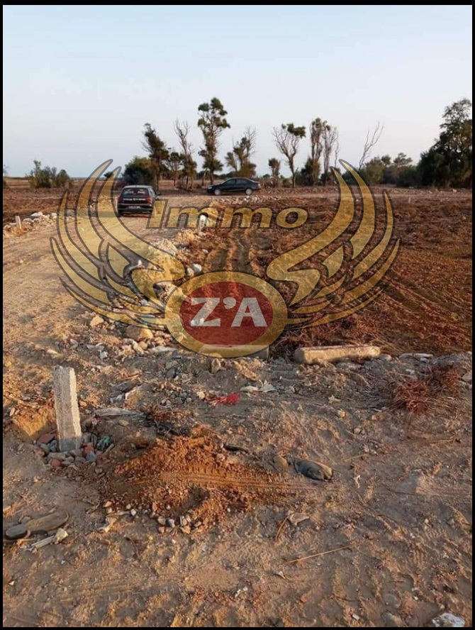 fd920739-e0dc-45c0-a810-5307dbaef065