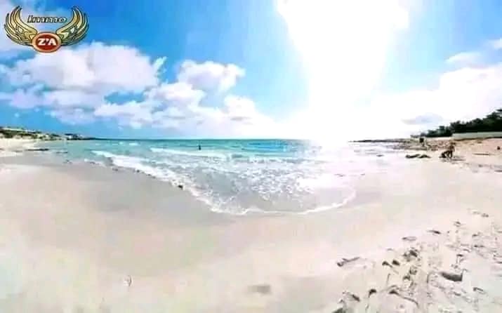 un terrain situé à ELzahra- kélibia