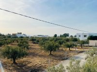 7964af33-ec62-4e36-8ad3-8c85ad60eeca