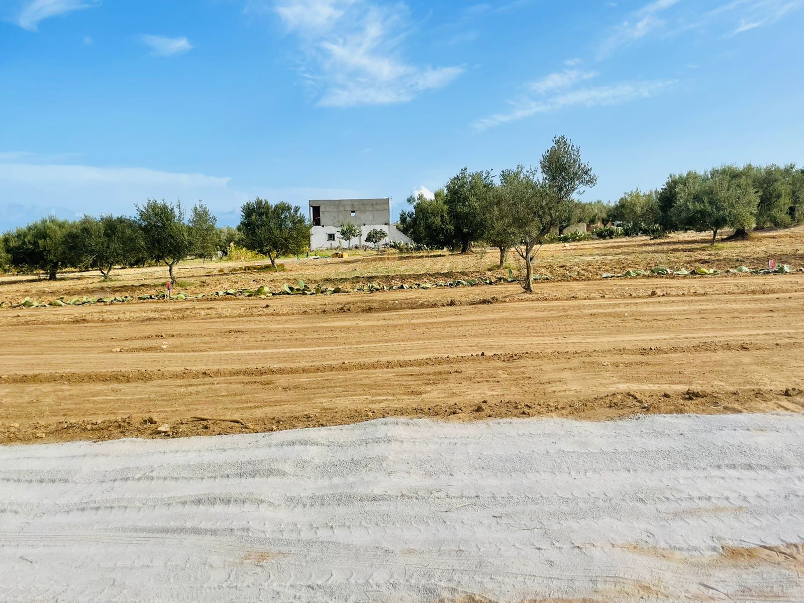 ca83efbc-6bc9-4778-a6c1-b23c0727e68b