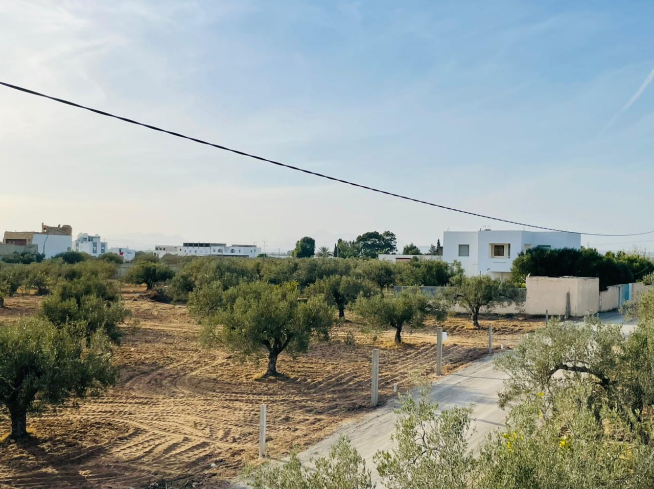 8cd678eb-8356-444c-9b06-bf752df4478b