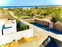 WhatsApp Image 2023-04-09 at 09.57.05