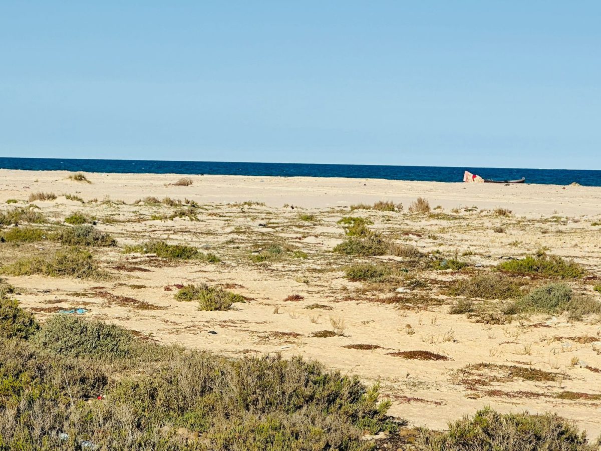 un terrain a vendre a Yasmine Hammamet