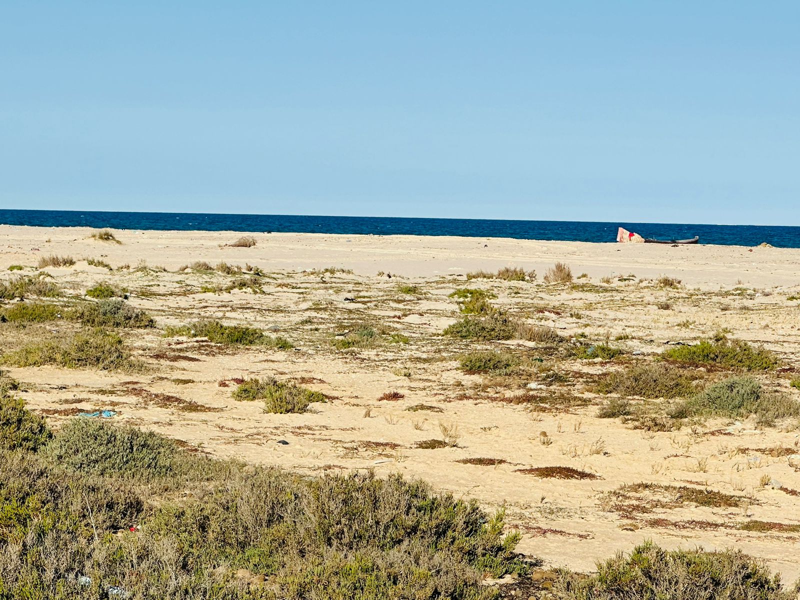 WhatsApp Image 2023-04-08 at 17.57.37