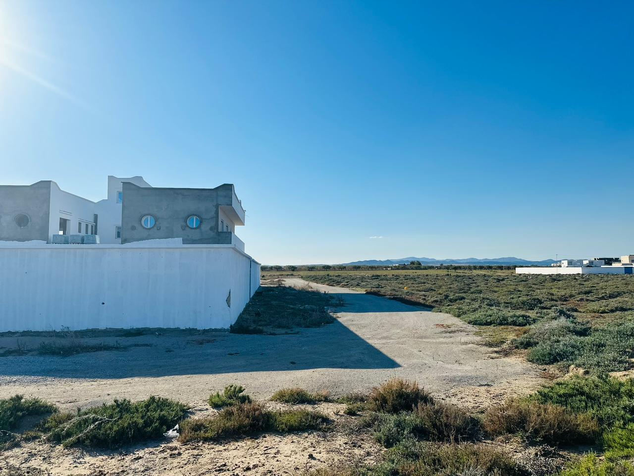 WhatsApp Image 2023-04-08 at 17.56.31