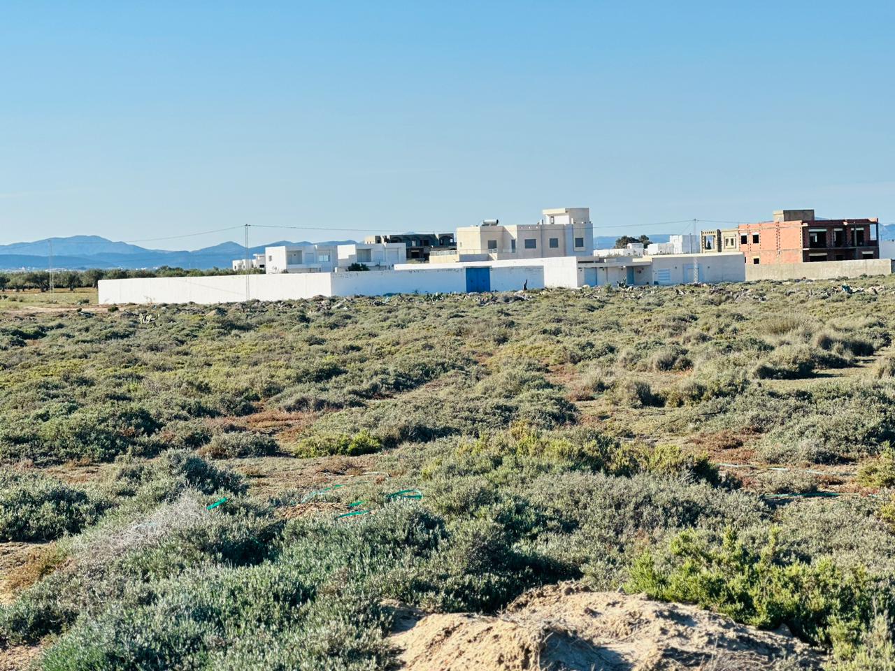 WhatsApp Image 2023-04-08 at 17.56.33