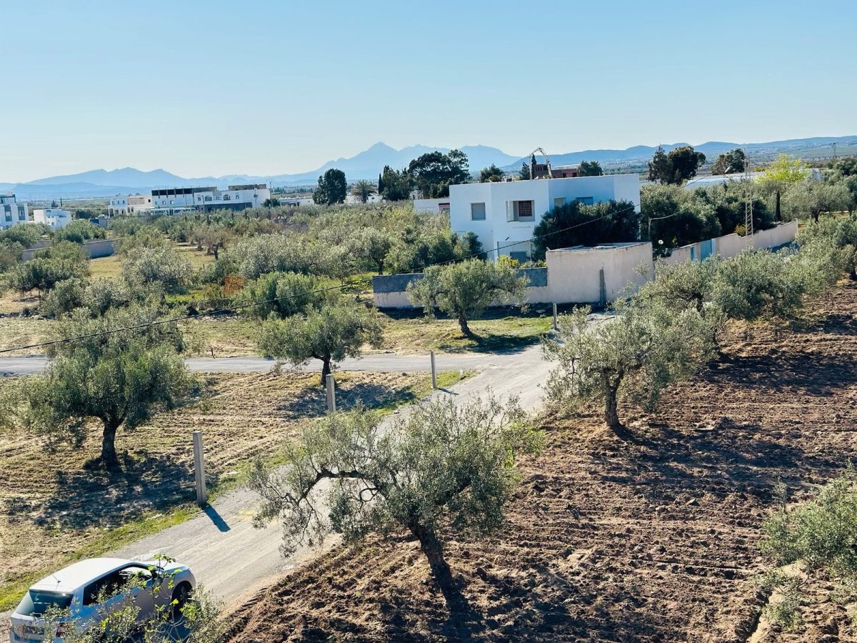 un terrain a vendre a Yasmine Hammamet