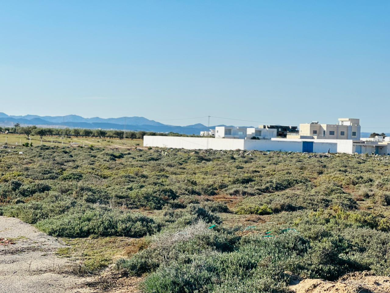 WhatsApp Image 2023-04-08 at 17.56.31 (1)