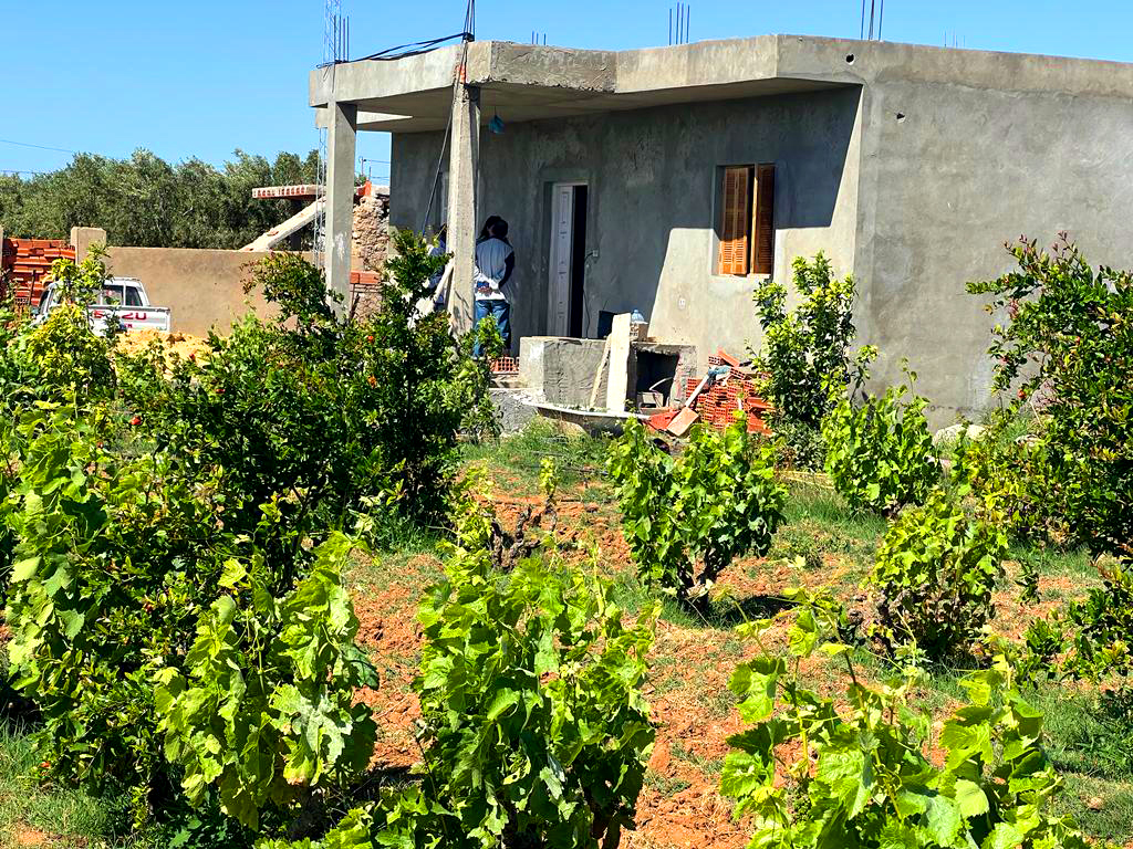 fbc4f54e-ddc6-4e4e-ba3c-29e5bbed23e3 copie