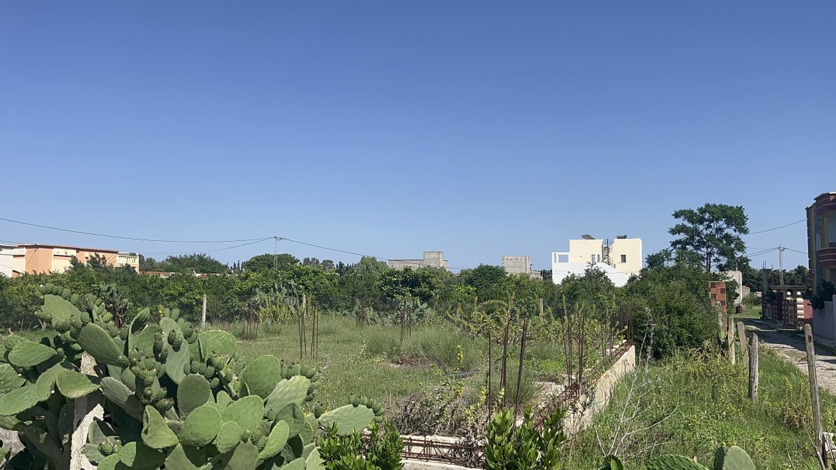 Terrain a vendre 350 m2 Béni Khalled zone Lycée rue manzah