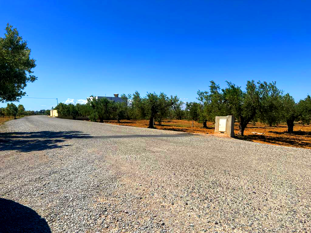 7bdfbd0a-4b24-4f8a-943c-35b1cc42caef copie