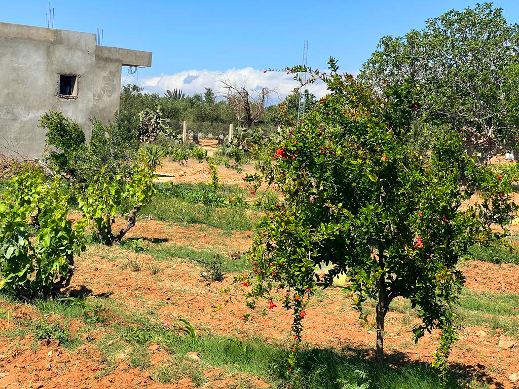 9db13a6c-f201-4de2-afb8-6e129616fce5