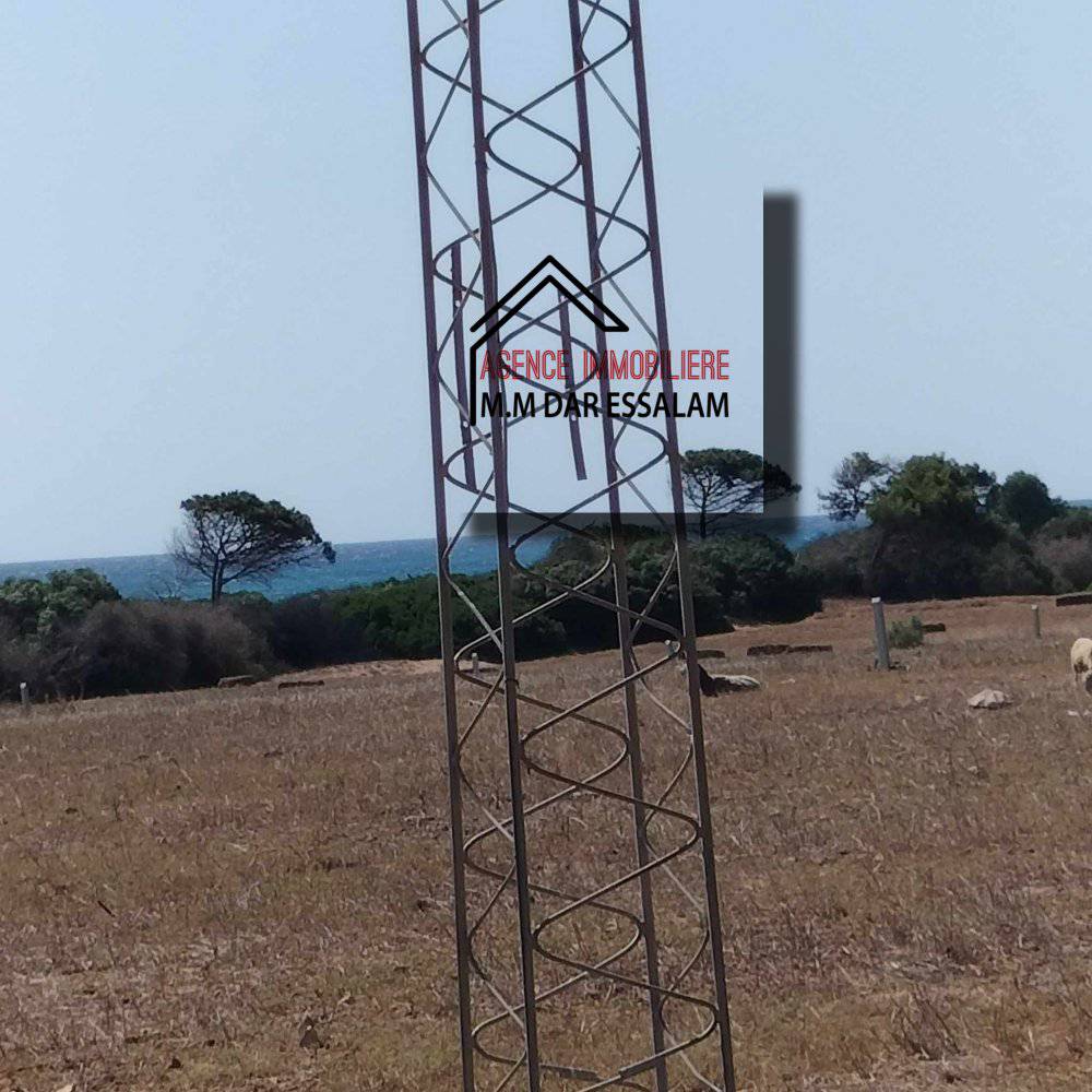 lotissement à vendre