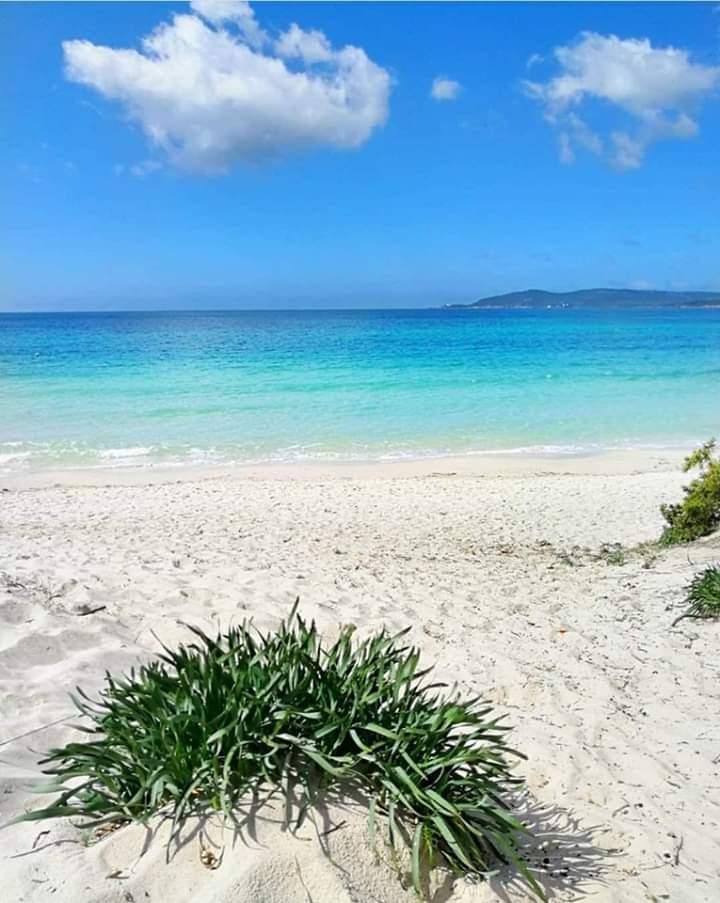 Terrain à Vendre à Ezzahra Kélibia