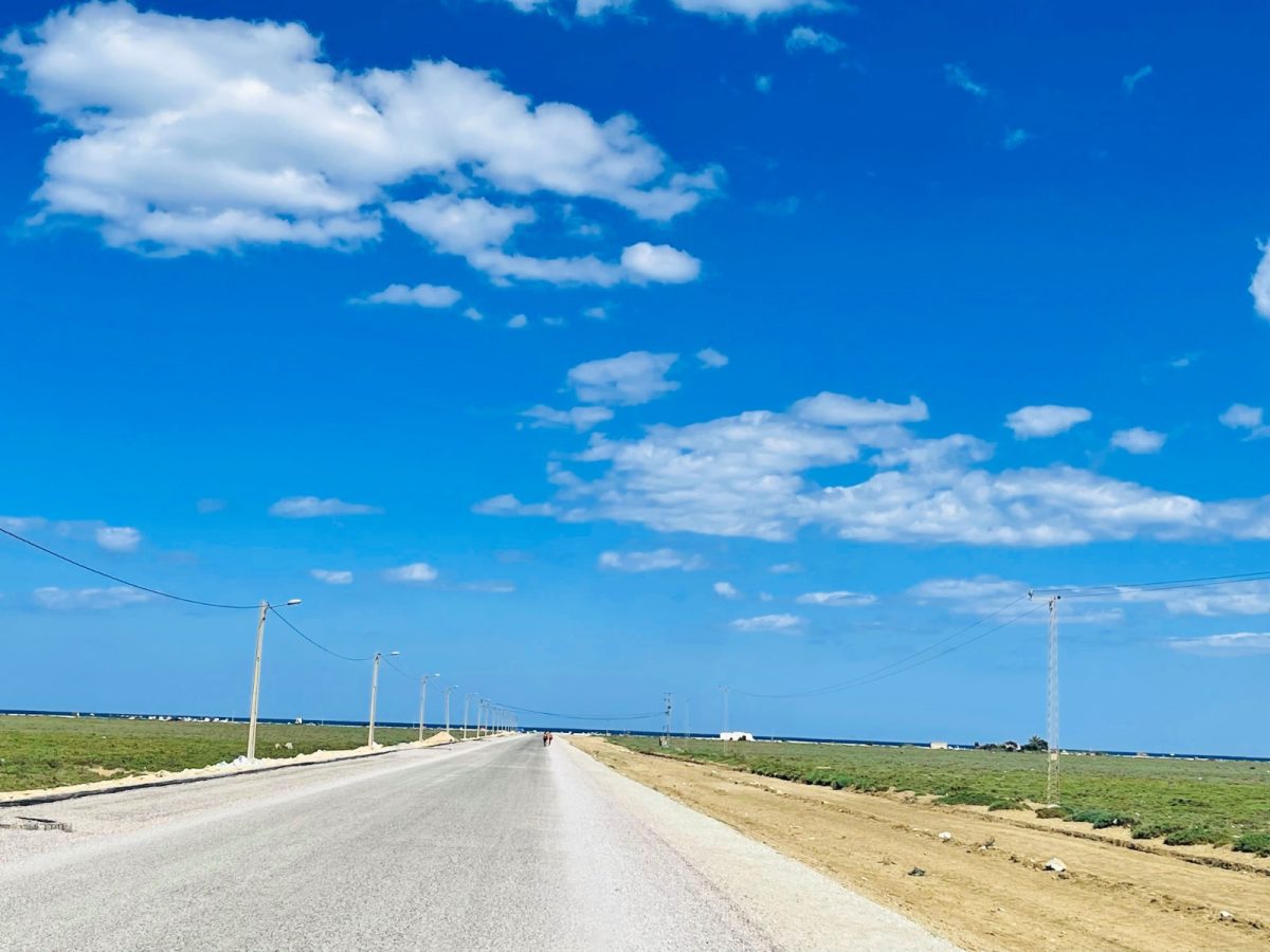 Lot de Terrain de 500 m² à Hammamet