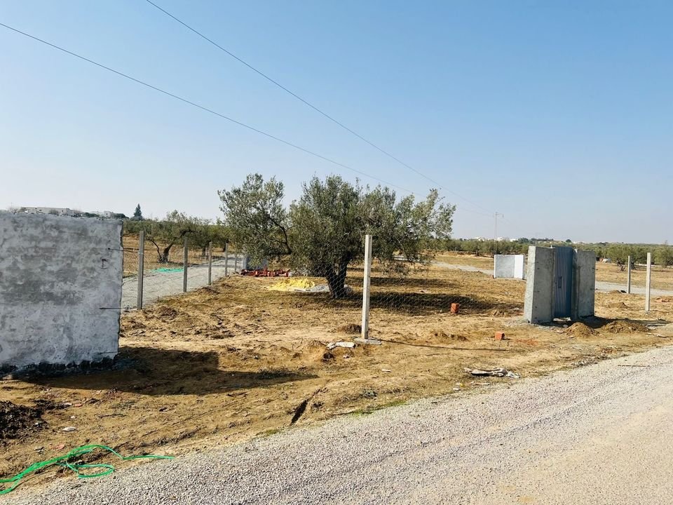 Lot de terrain de 600 m² à hammamet