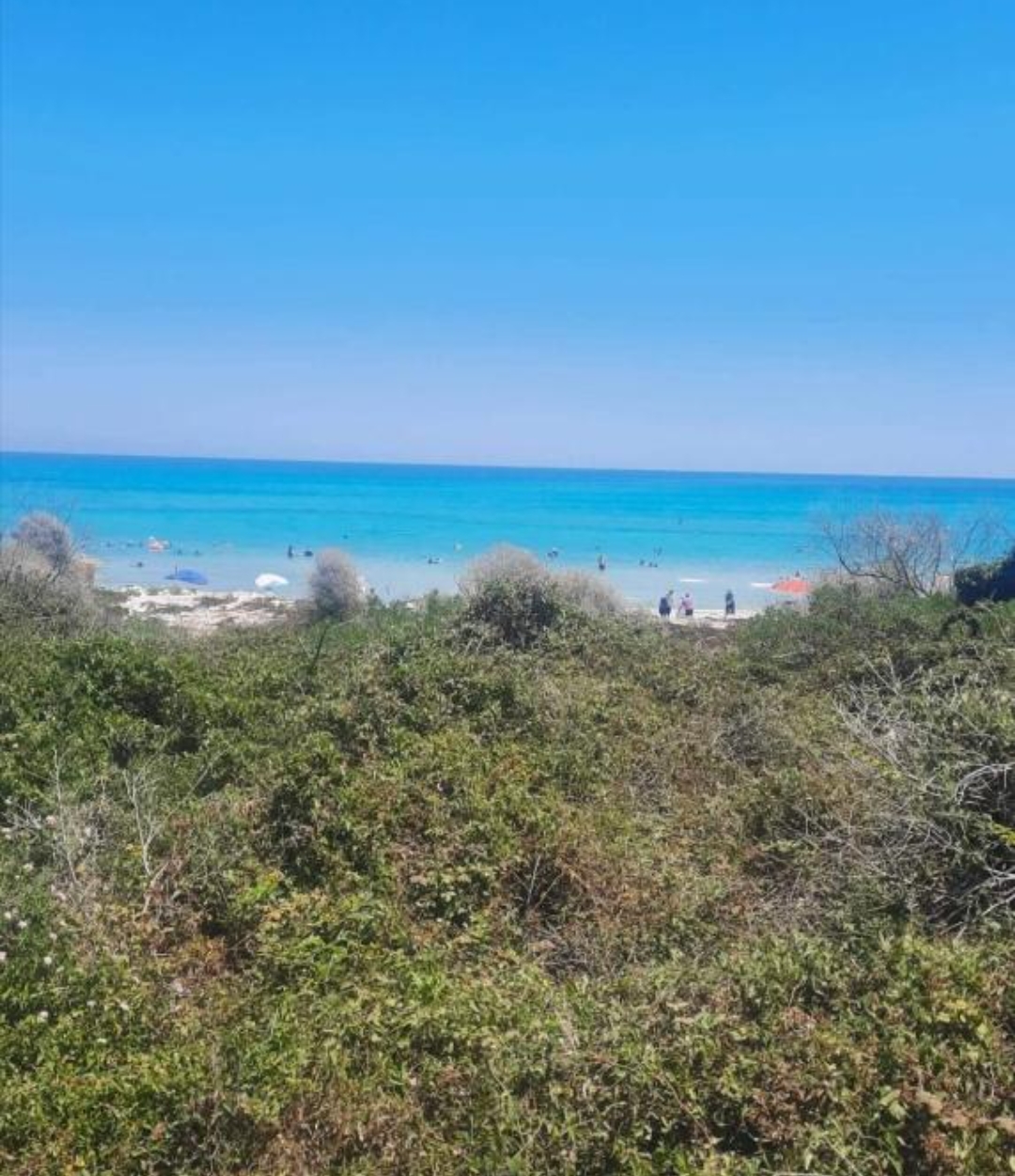 A Vendre terrain à Ezzahra Kelibia