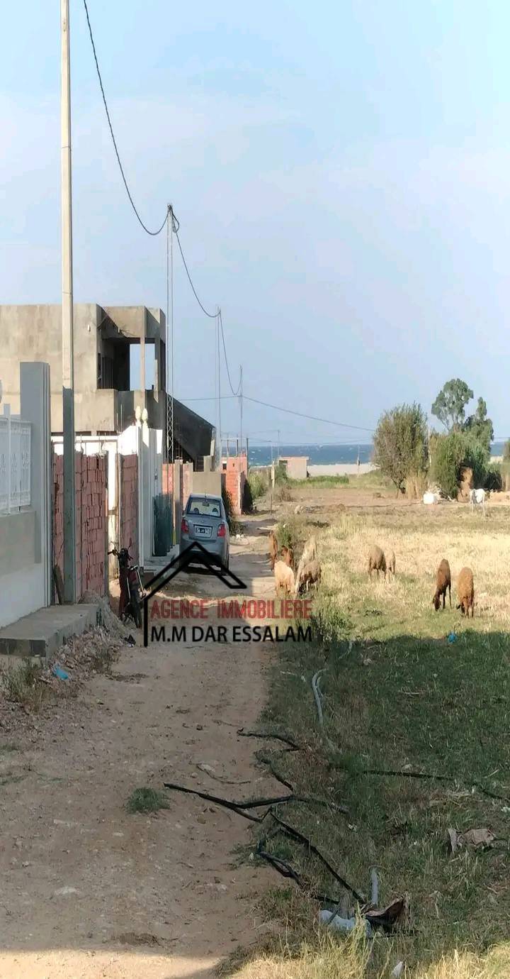 lotissement à vendre à dar allouche