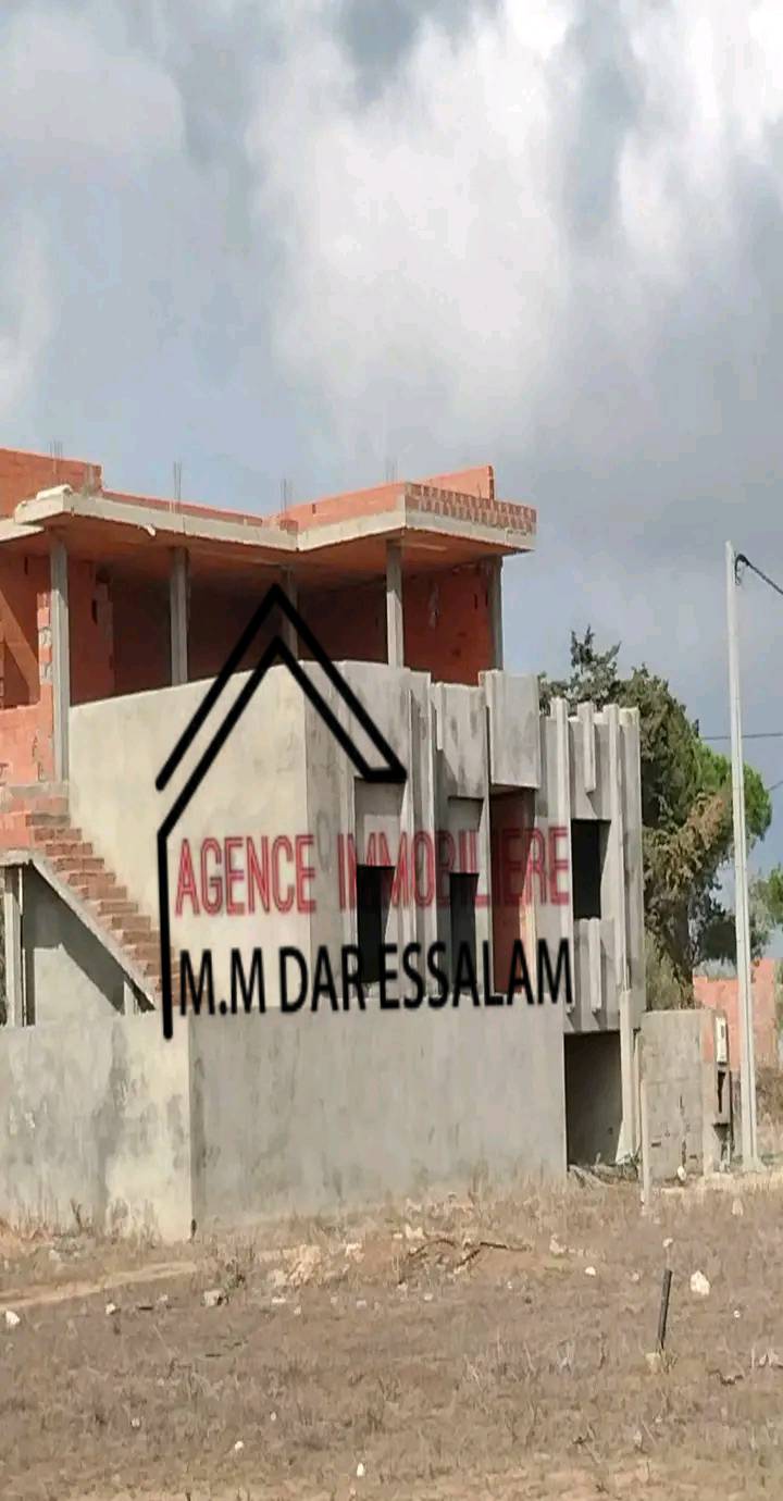 dm3