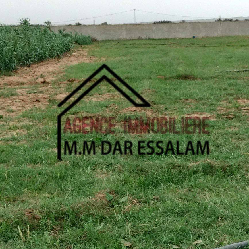 senya sahb jbal3