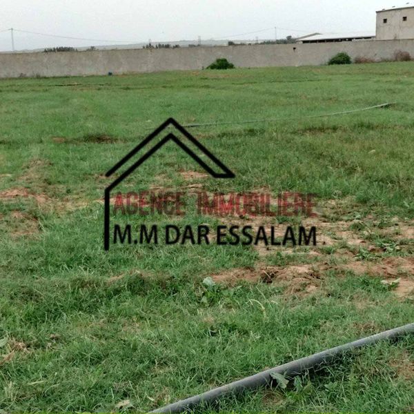 terrain agricole à vendre