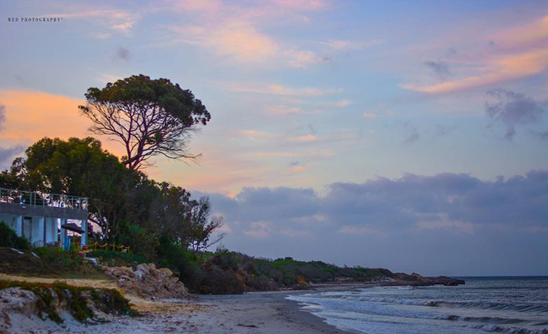 Des terrains vue sur mer