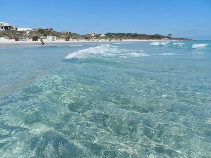 Kelibia-real-estate-323