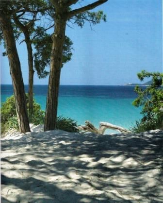 béneficiez de ces merveilleux terrains avec vue sur mer